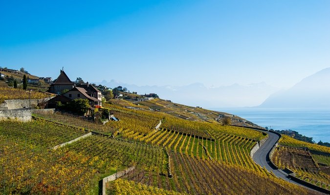 Lavaux