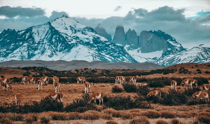 Chilean Patagonia: Top Destinations and Hotels