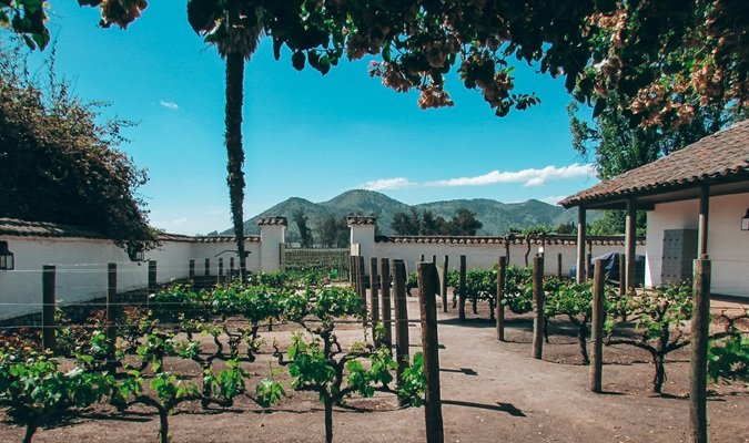 Viña Santa Rita: A Vineyard Near Santiago