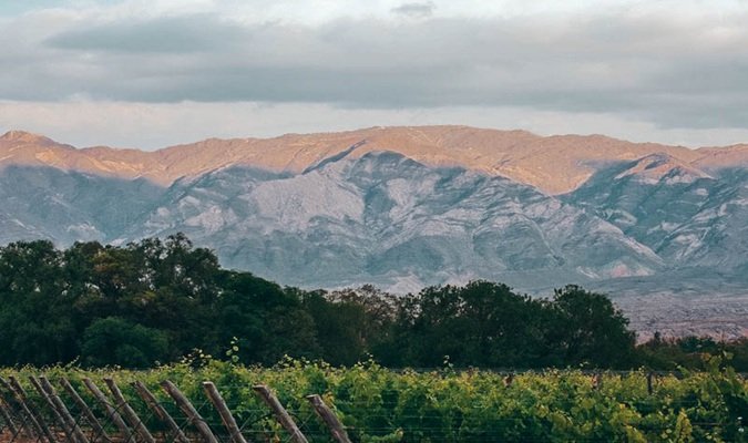 Bodega Colomé