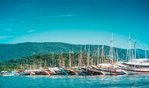 São Paulo to Paraty