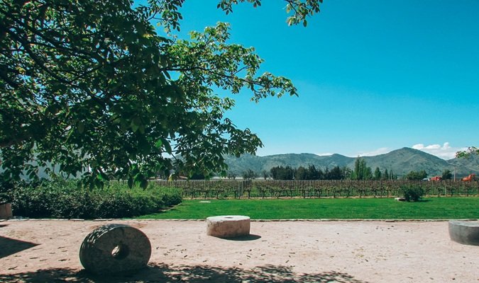 Top Vineyards to Visit in South America: A Wine Lover's Guide