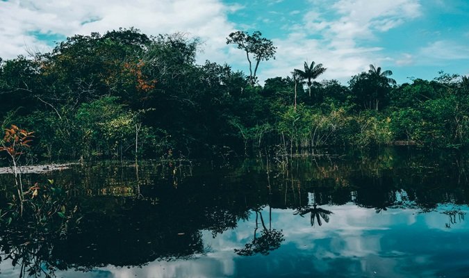 São Paulo to Manaus