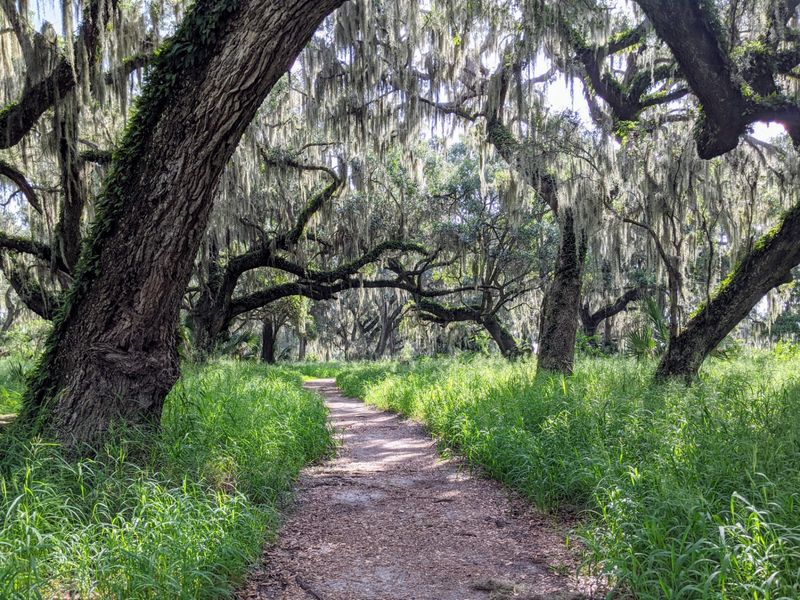 Circle B Bar Reserve (Lakeland)