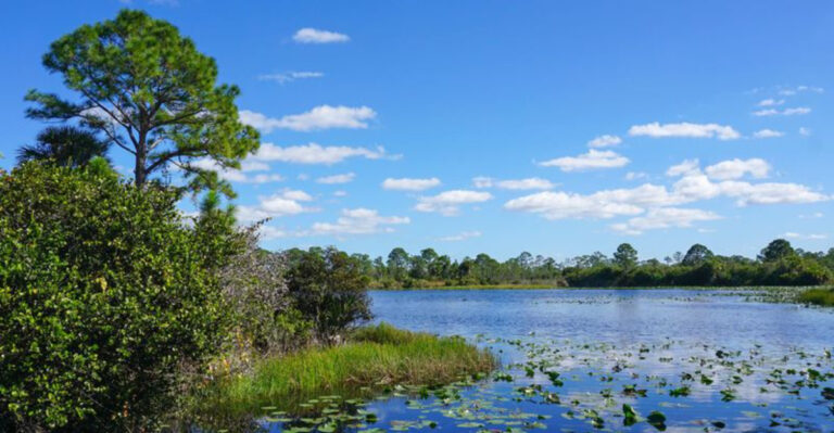 nature reserves in Floria that are oftentimes missed