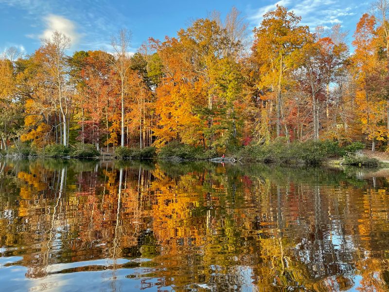 The Trail Where the Forest Meets the Water