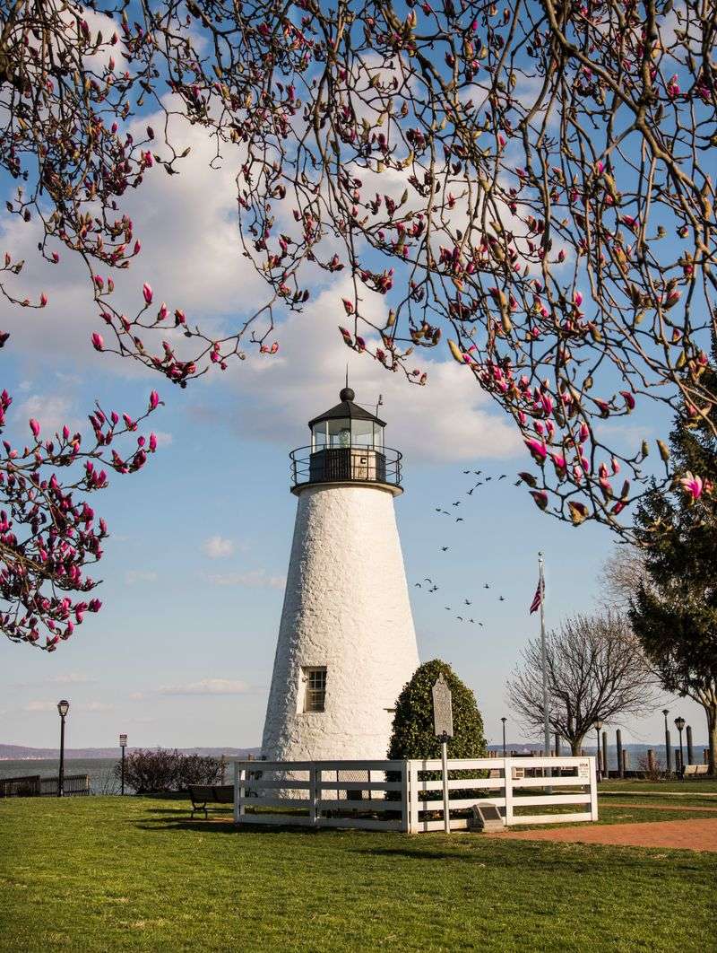 Havre De Grace Lighthouse And Promenade