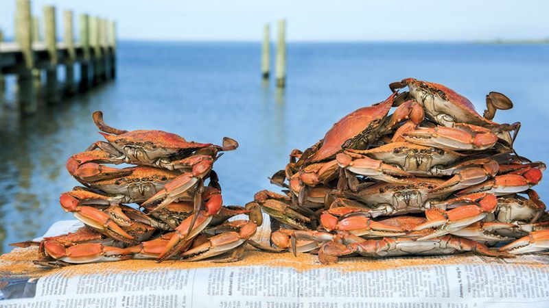 Fresh Local Seafood Caught Daily