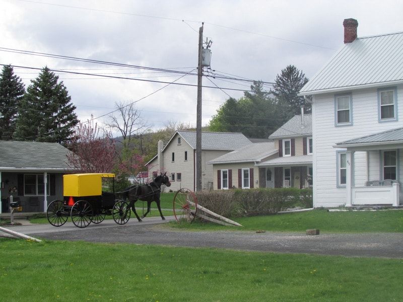 Reedsville