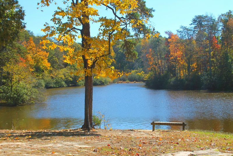A Hidden Autumn Gem in Central Virginia