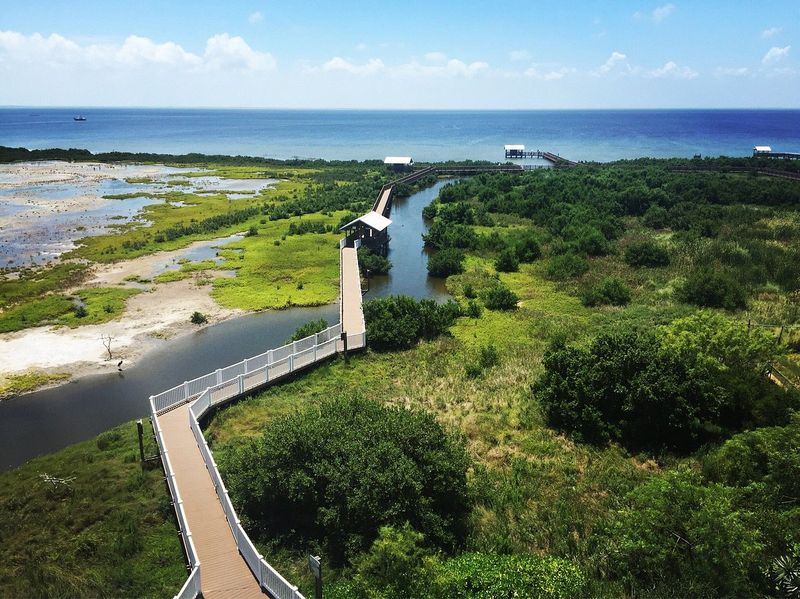 South Padre Island Birding & Nature Center