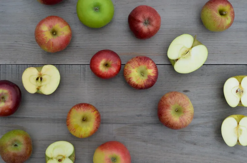 Pick-Your-Own Paradise