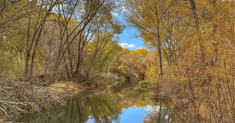 Horseback Riding Through Autumn Landscapes