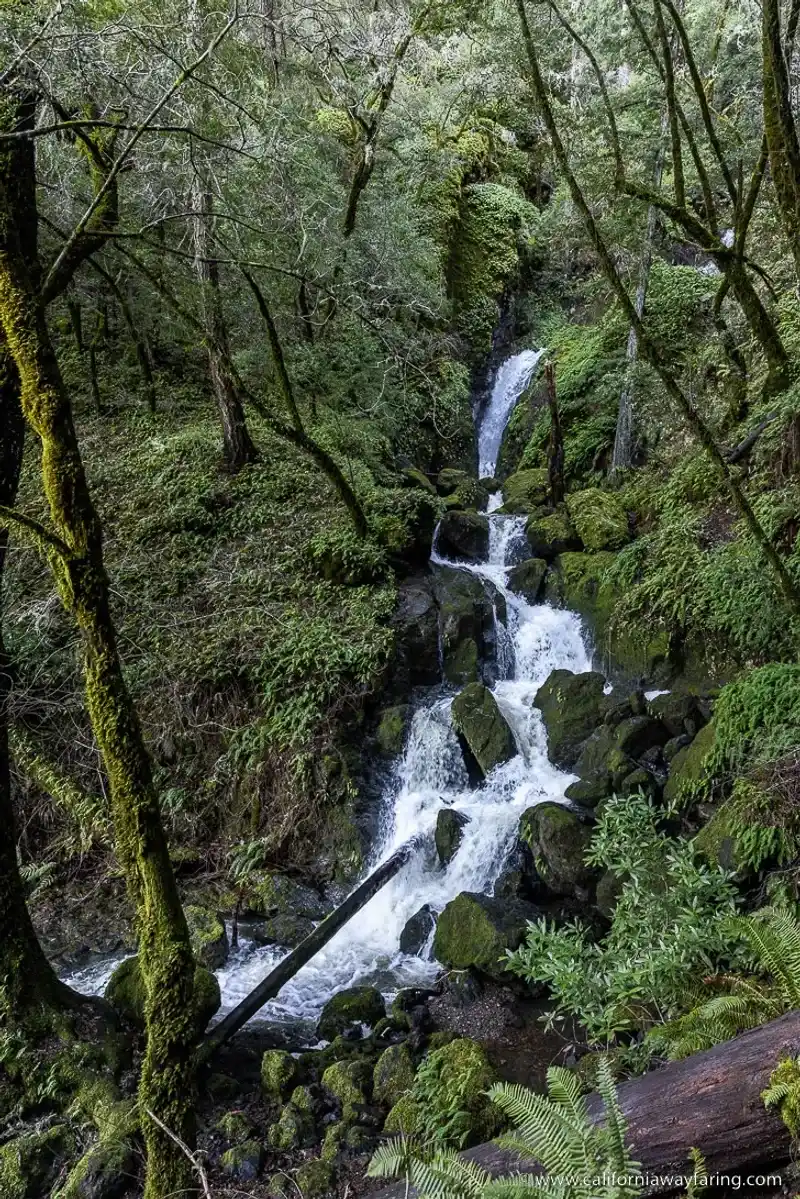 Cataract Falls: Marin's Hidden Treasure