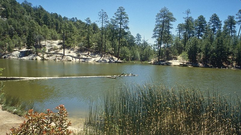 Fishing And Lakeside Wandering