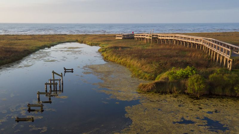 Sea Rim State Park