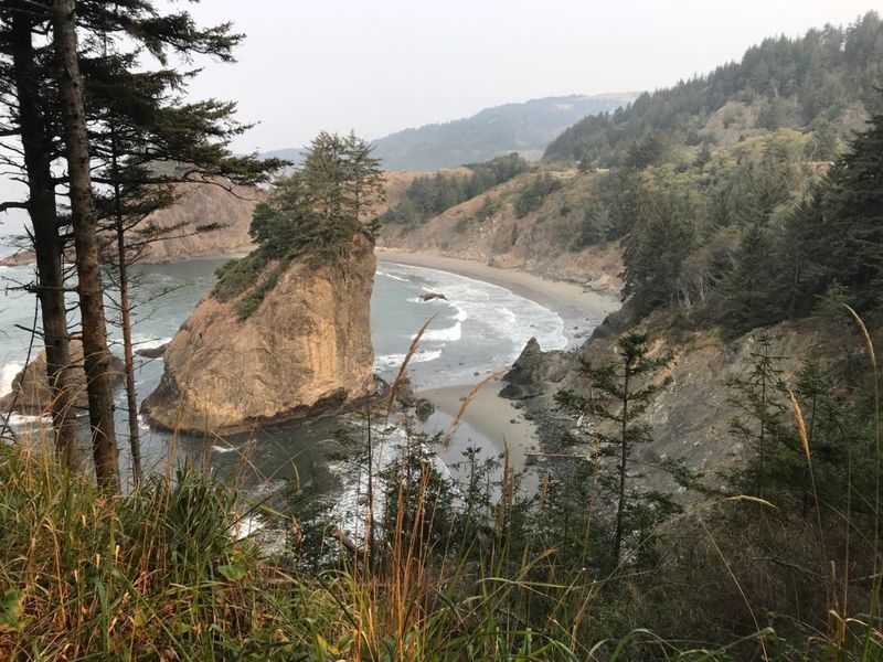 Experience Redwoods At Gold Beach Forest Areas