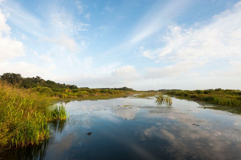 Emeralda Marsh Conservation Area (Lake County)