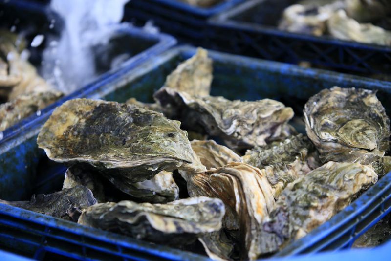 Seafood Straight From The Source