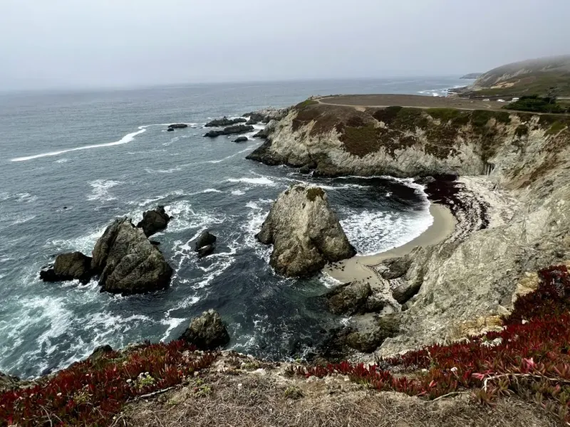 Bodega Bay
