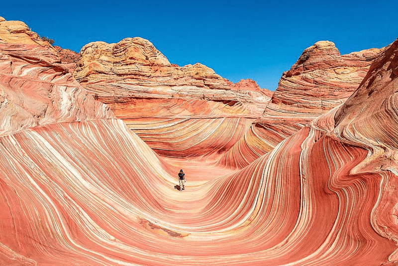 Coyote Buttes The Wave