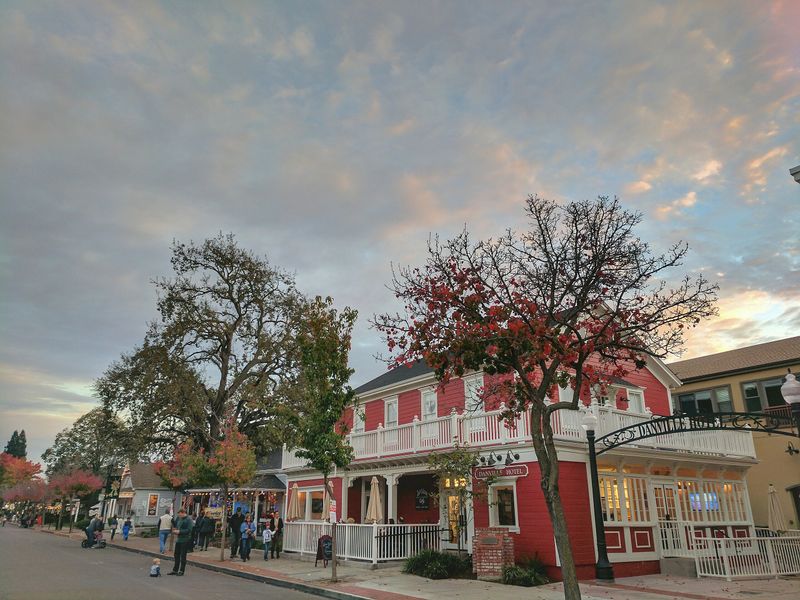 Hartz Avenue's Hidden Magic