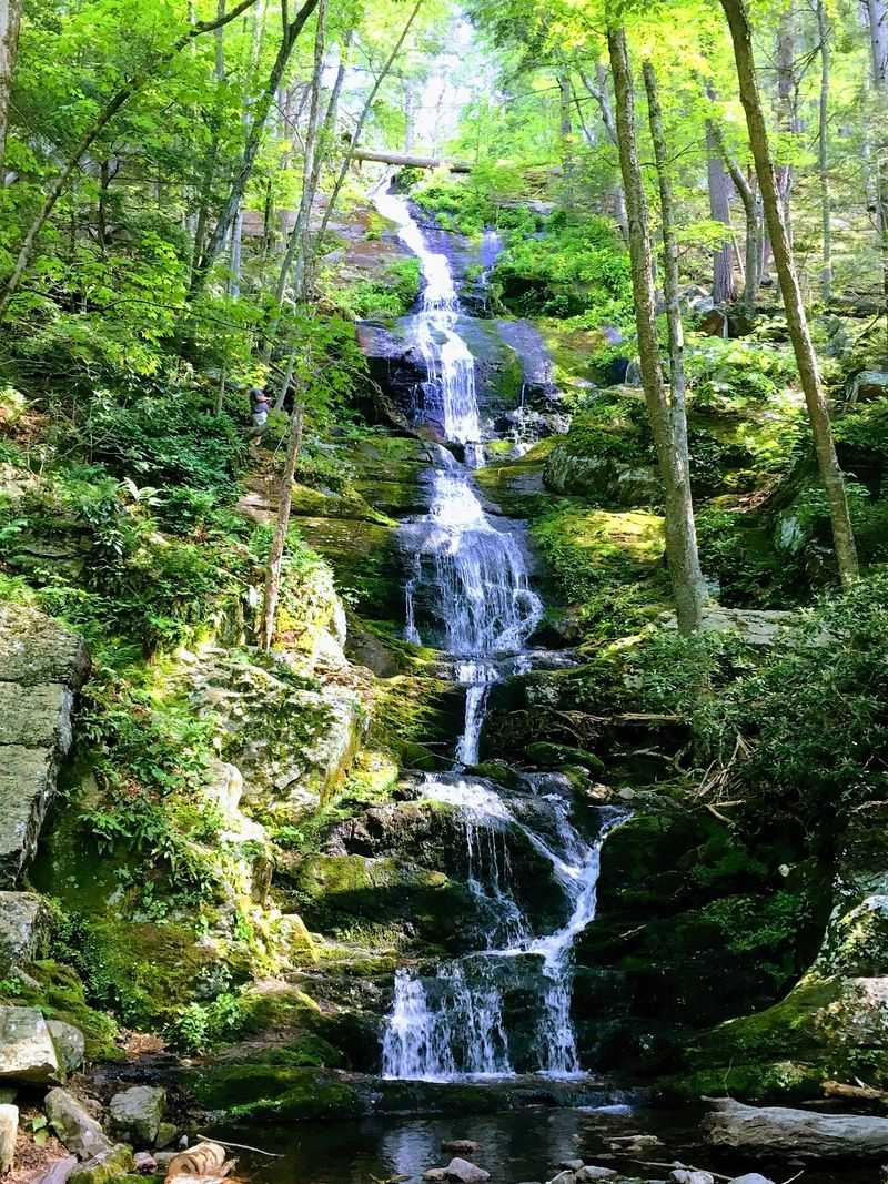 Majestic Waterfall Views