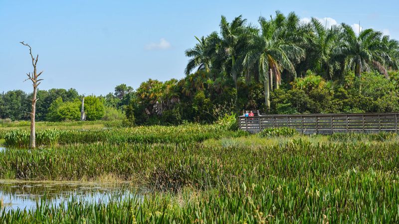 Green Cay Nature Center & Wetlands (Boynton Beach)