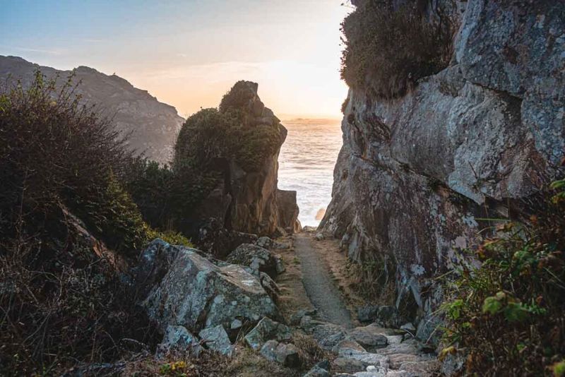Discover Harris Beach State Park's Secret Redwoods