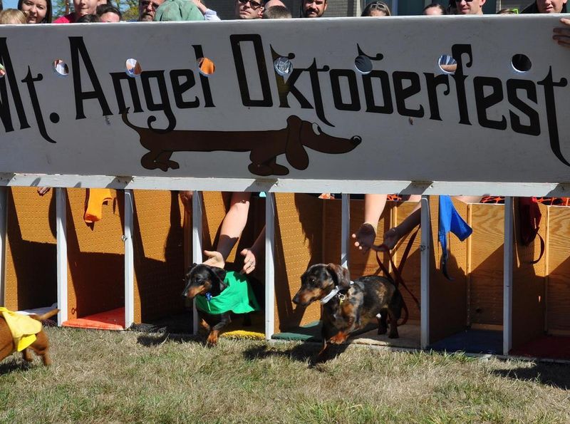 Community Spirit In Mt. Angel