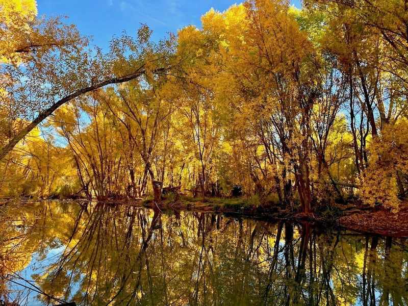 Scenic Hiking Trails Bursting With Fall Colors