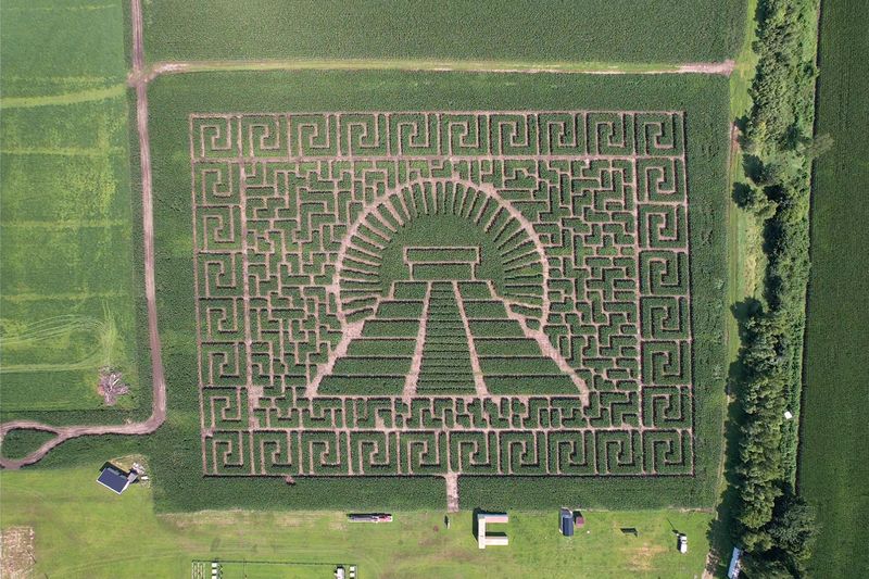 Designs That Tell a Story