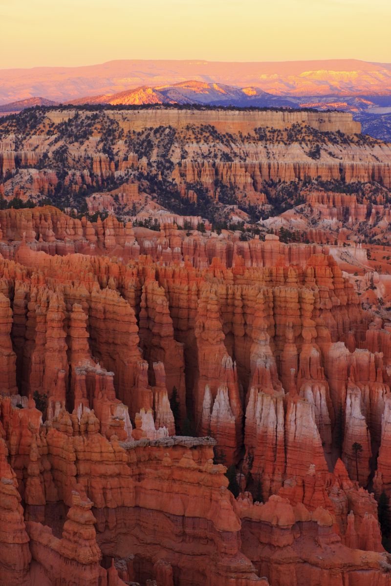 Bryce Canyon Hoodoos