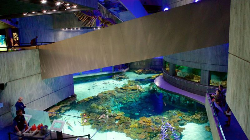 National Aquarium