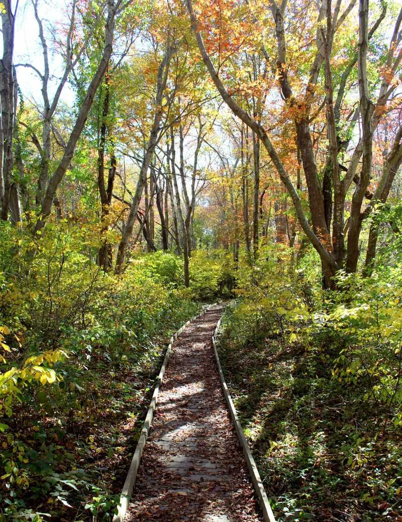 Nature Walks and Wildlife Education