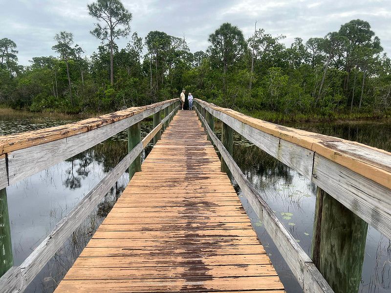 Spruce Bluff Preserve (Port St. Lucie)