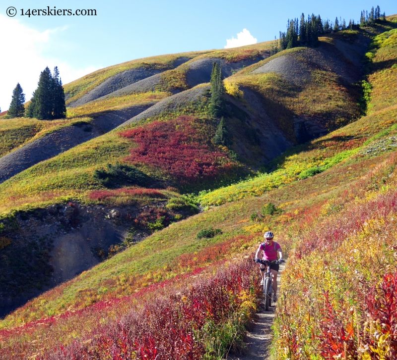 Aspen Grove Finale
