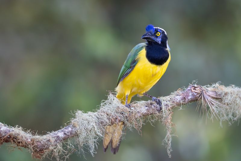 Santa Ana National Wildlife Refuge
