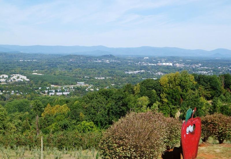 Carter Mountain Orchard - Charlottesville, Virginia