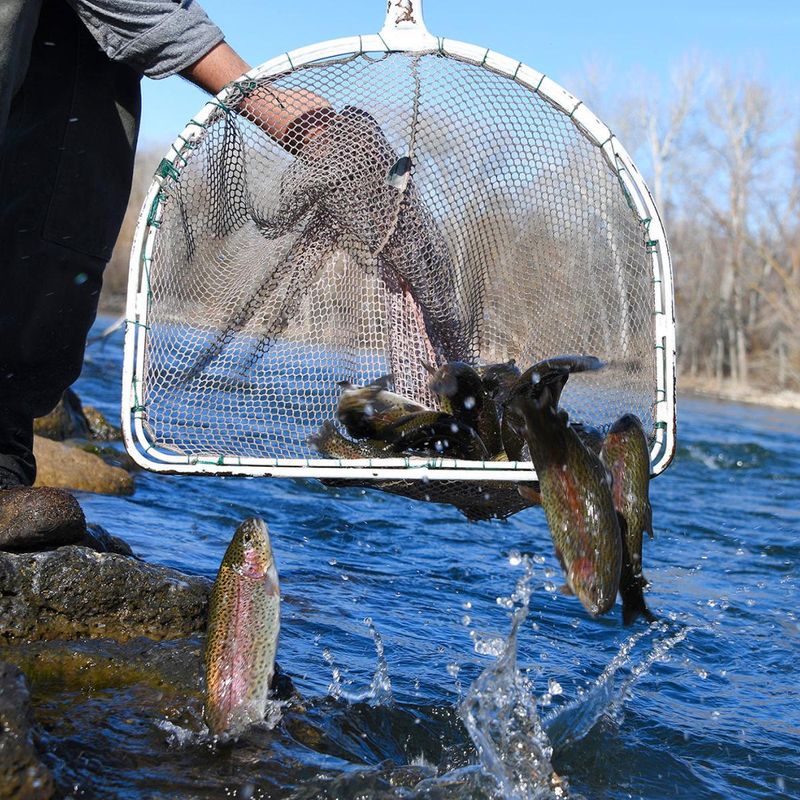 Fishing Opportunities Abound Year Round Here