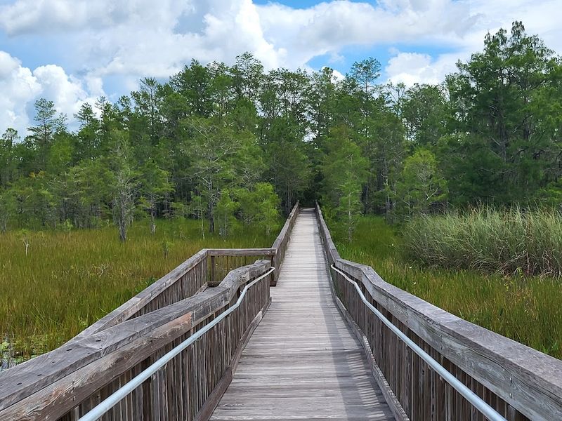 Grassy Waters Preserve (West Palm Beach)