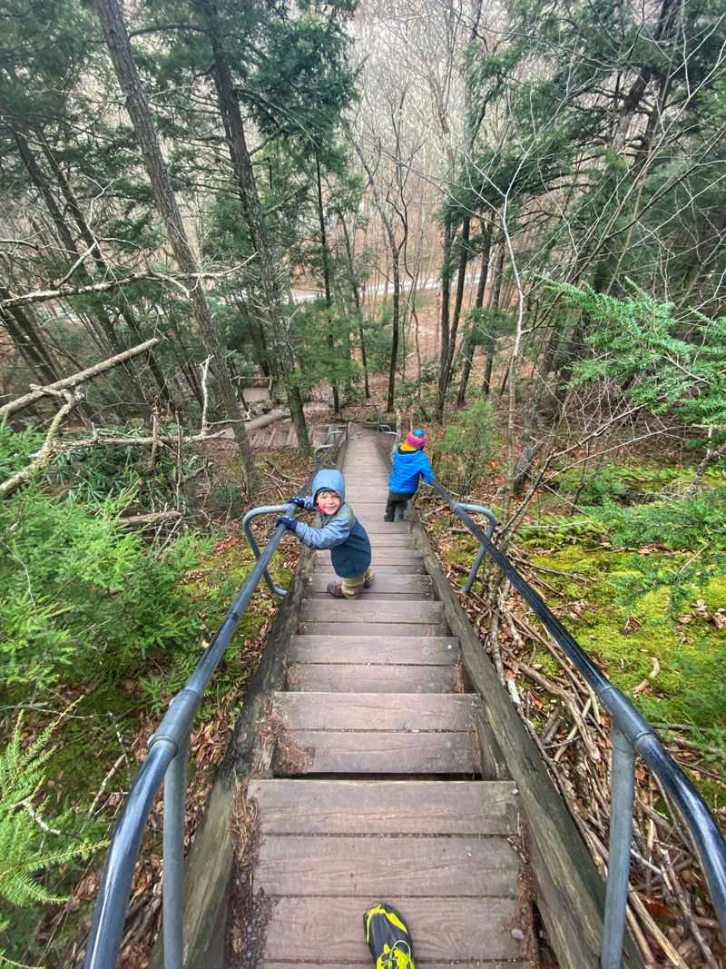 Wooden Staircase Adventure