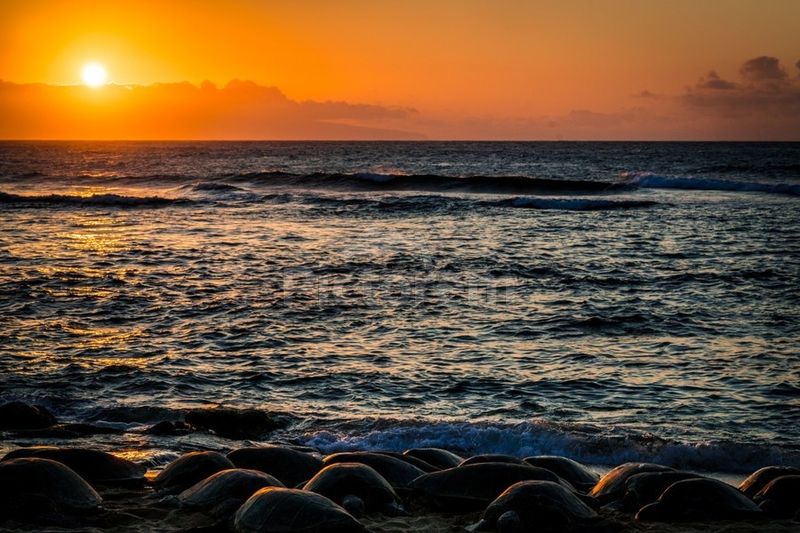 Ho‘okipa Beach Park (Maui)
