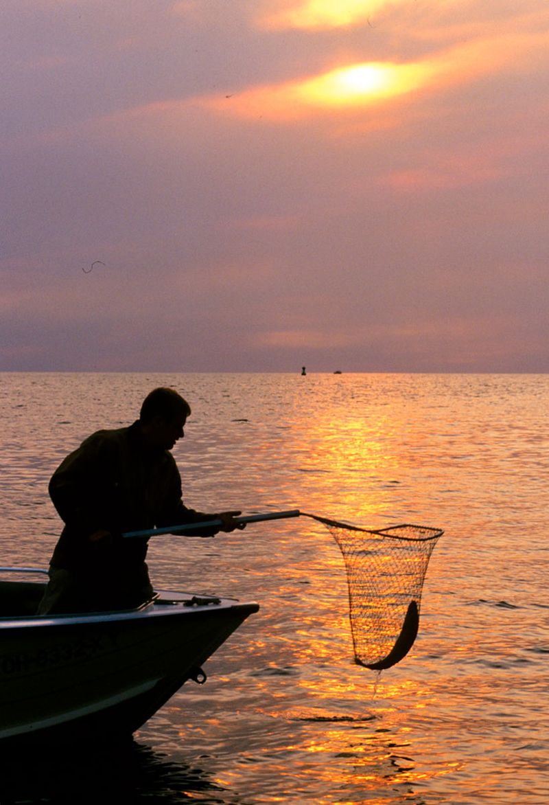 Great Lakes Fishing Capital Feel