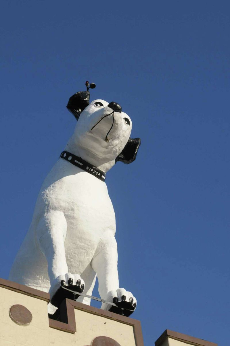 Nipper Dog Statue In Albany