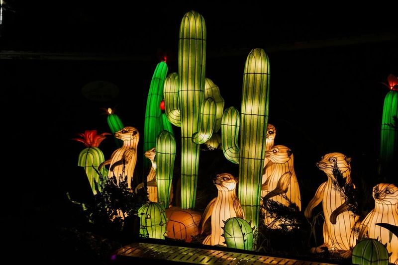Limited-Time Exhibition Worth Multiple Visits