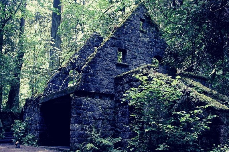 The Witch's Castle: Forest Park's Mossy Mystery