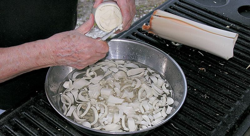 Swamp Cabbage: Pioneer Palm Heart Dish