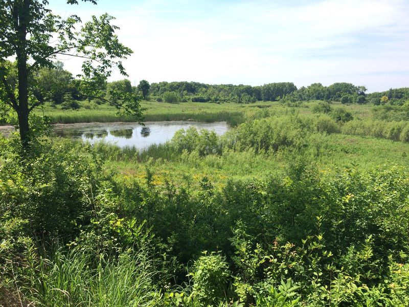 Havenwoods State Forest – Milwaukee