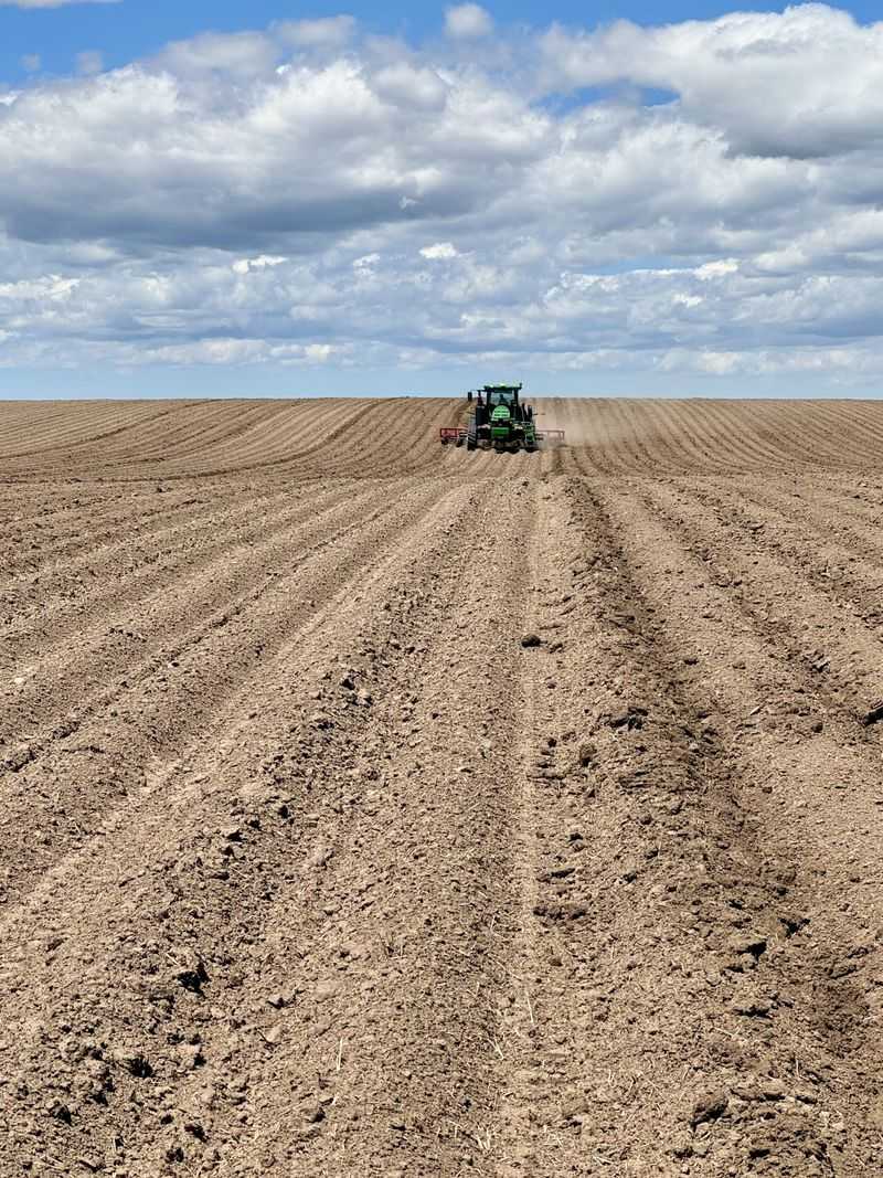Local Potato Farms Welcome Educational Tours